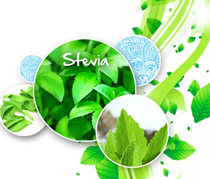  Information about using stevia with diabetes safe for sugar alternative for diabetics stevia better healthy living